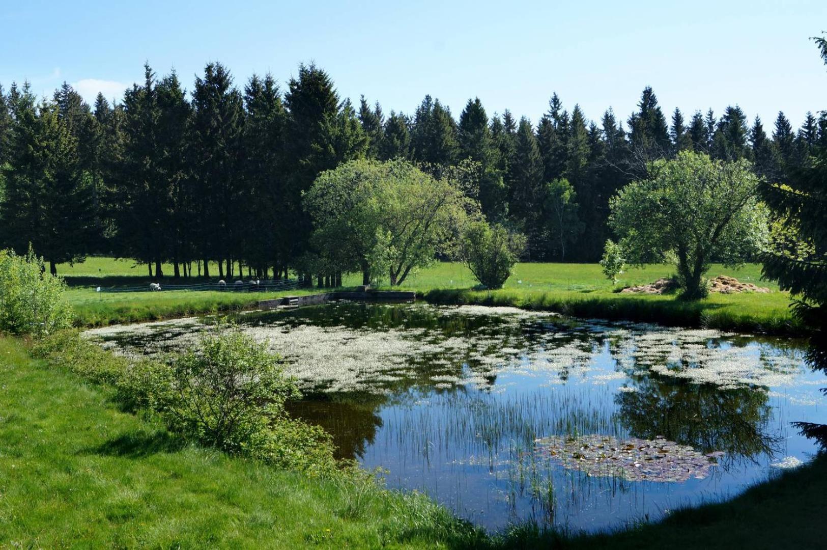 Kammbaude Neuhermsdorf Dış mekan fotoğraf
